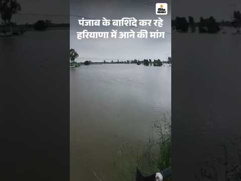 Haryana Flood: Punjab के बाद डूबा हरियाणा! Hisar के गांवों में पानी Flood situation near Yamuna