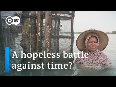 Indonesias sinking villages: a hopeless battle against rising sea levels | DW News