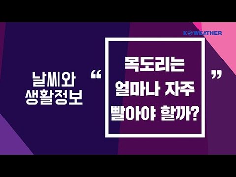 [날씨] 2월15일_목도리는 얼마나 자주 빨아야 할까?