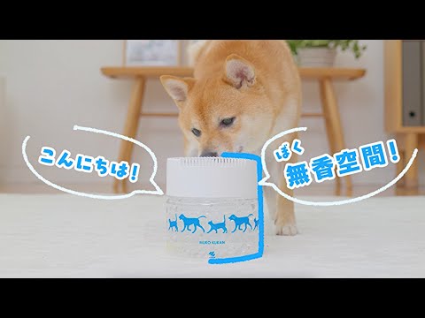 猫の動画サムネイル - 【ペット用無香空間】ペットのニオイ専門の無香消臭ビーズ