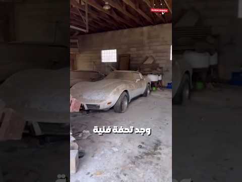 المالك الجديد وجد هذه السيارة بمثابة "كنز" ثمين