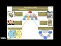 U.S. Constitution and Government Principles