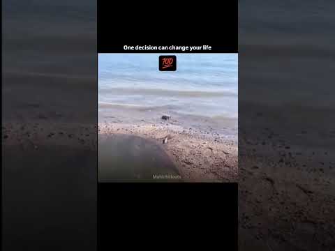 believe in yourself #motivation #virl #feel