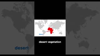 Explore Africa's Rich Vegetation  Tropical Rainforests to Savannas Explained! #worldmap #africamap