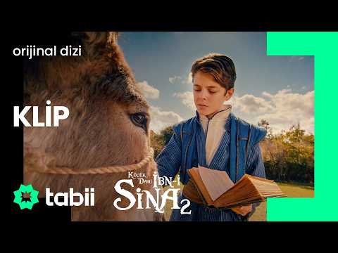 Eşekler, Eşek Gibi Çalışmasın! 😅 | İbn-i Sina 11. Bölüm