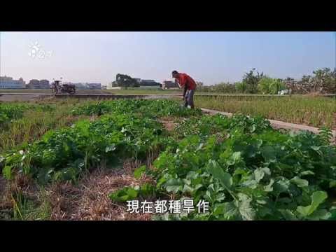 【環境公害】與電鍍廠為鄰｜居民擔憂空污與地下水污染 (我們的島 第793集 2015-01-26) - YouTube(16分13秒)