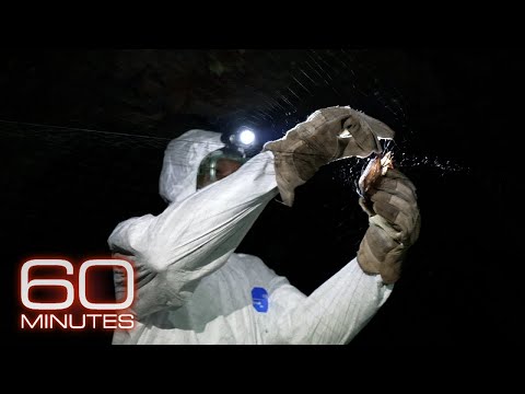 YouTube video thumbnail: Searching for the Next Deadly Virus, Before It Ignites Another Pandemic