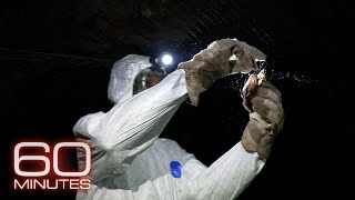 YouTube video thumbnail: Searching for the Next Deadly Virus, Before It Ignites Another Pandemic