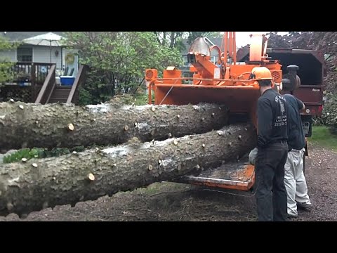 Dangerous Monster Wood Chipper Machines Working, Fastest Tree Shredder Destroy Big Tree Equipment