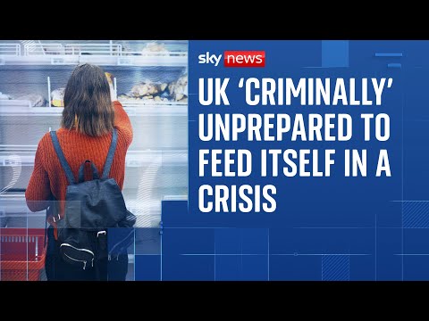 UK 'criminally' unprepared to feed itself in a crisis, NFU chief warns