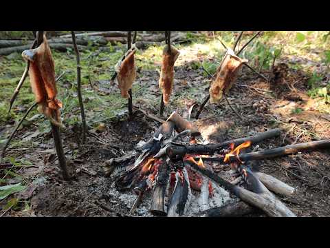 Primitive Camp, Cook, Fish in Canadian Wilderness (ASMR - Silent)