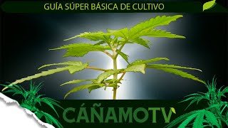 GUÍA SÚPER BÁSICA DE CULTIVO PARA PRINCIPIANTES 💡 Mars Hydro FC-E4800