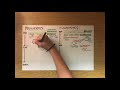 Transcription and Translation Processes