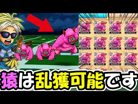 【ドラクエウォーク】ヒババンゴを乱獲出来る狩り方法が強すぎた・・！これガチで真似してみて！