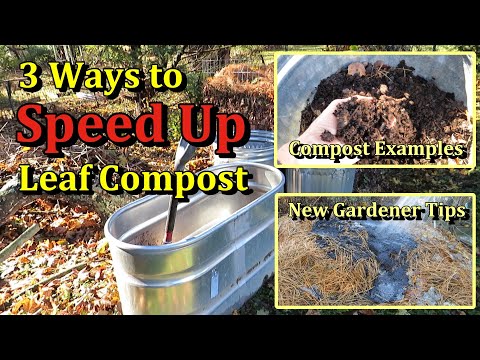 How to Speed Up Leaf Composting & Ways to Compost Leaves (Get Leaf Compost 6 Months Sooner!)