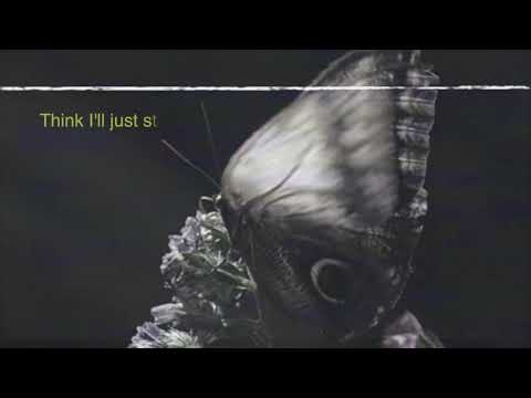 Episode 22: Butterfly Lyric Video- Caly Bevier