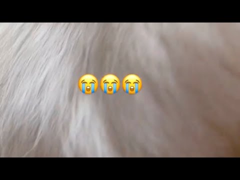AIKA DI PENUHI EEEKKKKK