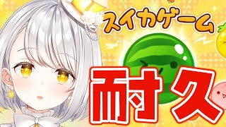 『スイカゲーム』スイカが出るまで寝れません耐久『睡眠導入/安眠/灯らんぷ』