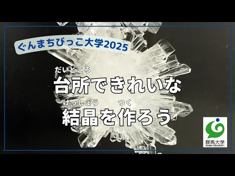 10 台所できれいな結晶を作ろう