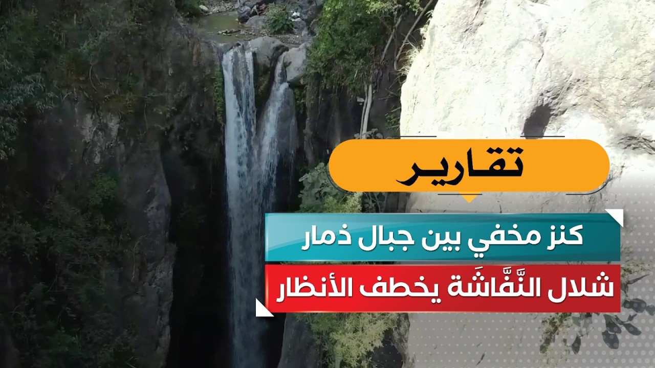 قناة السعيدة