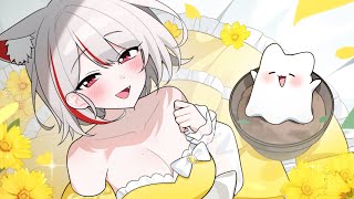 2주년 기념 마씨로 키우기