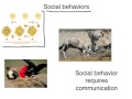 Plant Behavior and Conditioning Concepts