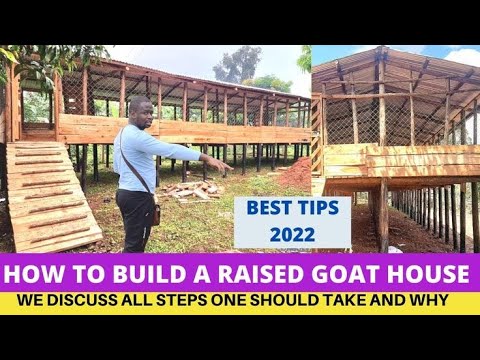 How To Construct a Modern Goat House For 200 Goats In 2025