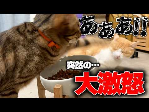 撮影中に大事件が起きてしまいました…。