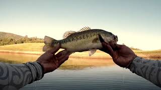 Bass fishing New Melones