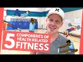 Understanding Body Composition and Fitness