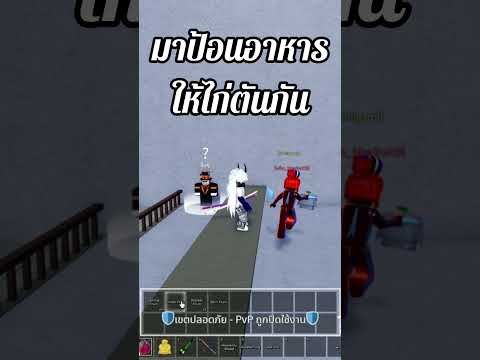 ป้อนอาหารไก่ตันrobloxbloxfruitsyoutubetiktok