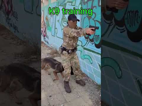 K9 Training. Real Heroes. #k9training #disturbed #animalsvideo #dogtraining #armydog #policedogs