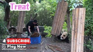 You Are In For A Treat! Nanny Shows Up With A Surprise! | iPanda