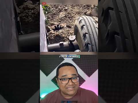 Animais que salvaram vidas