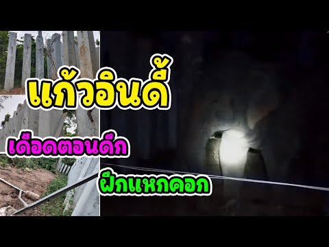 ลุ้นทั้งคืน! แก้วจะออกหรือจะอยู่? จะได้นอนกันมั้ยเนี่ย!”ตอนดึกไม่จบ… โขลงใหญ่โผล่อีก สนุกสิครับ!!