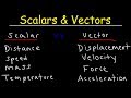 Understanding Scalars and Vectors