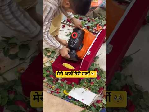 मेरी अर्जी तेरी मर्जी 🥺🙏 #shorts #youtubeshorts #shortvideo #khatushyam #khatushyamji #love