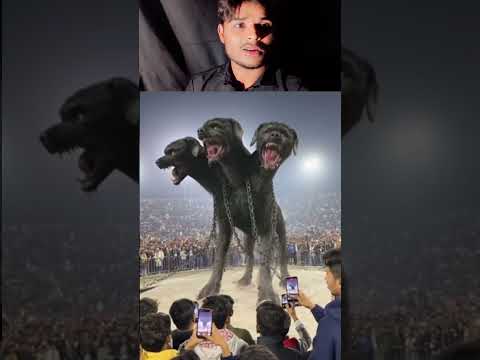 AI ने मेरा दिमाग उड़ा दिया! 😱 Shocking Reaction जो आपको हैरान कर देगा | #shorts #viral