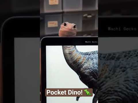 Budget Dinosaur 😂🦕#MiniDinosaur#Lizard#TinyDino#viral