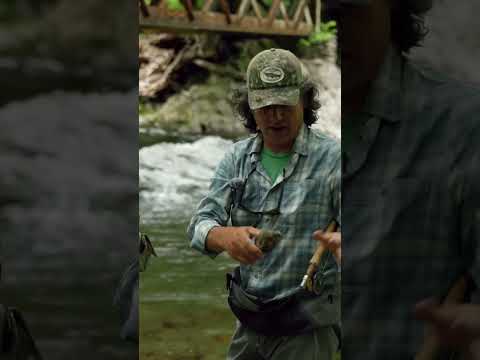 Insane History of the Smoky Mountains!