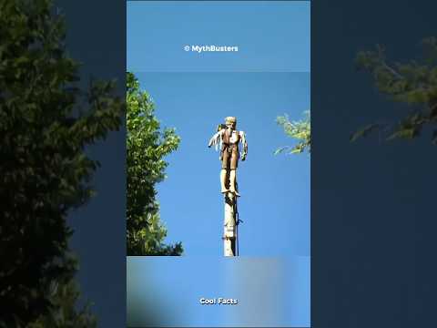 Is The Tree Slingshot Successful or not? ๐ฎ