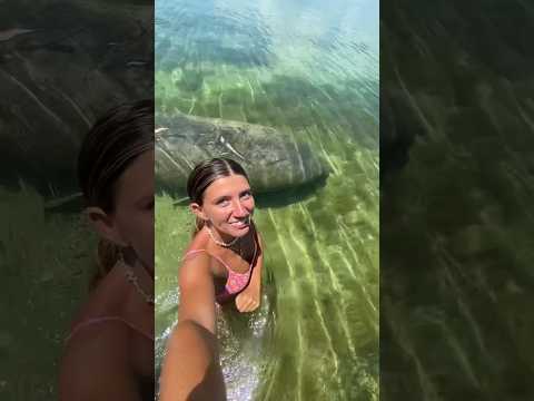 One of my favorite experiences ever! I am truly blessed to live where I live #shorts #water