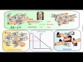 Exploring Central Bank Tools for Economic Management