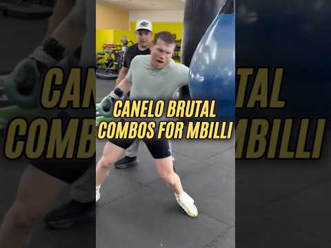 Canelo Alvarez FIRES THUNDEROUS <strong>KO</strong> combos for Mbilli
