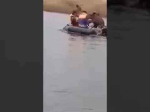 Умеют рыбки половить 🤣