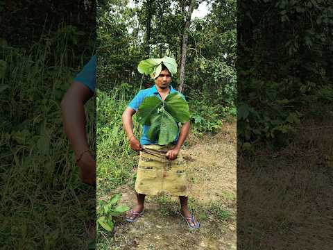 Story Of A Hanuman Devotee #trendingshorts #shortvideo #viralvideo #jaihanuman #trending #comedy