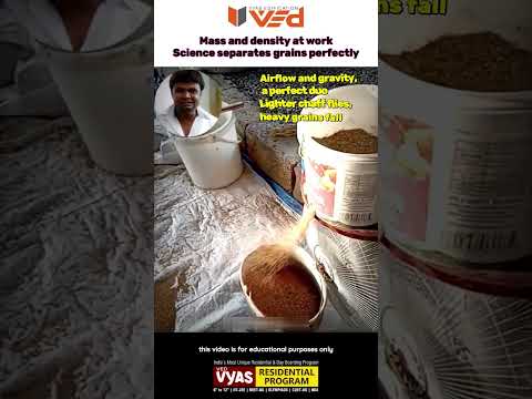 Mass & Density Hack | Science Separates Grains Perfectly! #shorts #viral