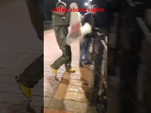 #serpme ile.balık avı | net fishing