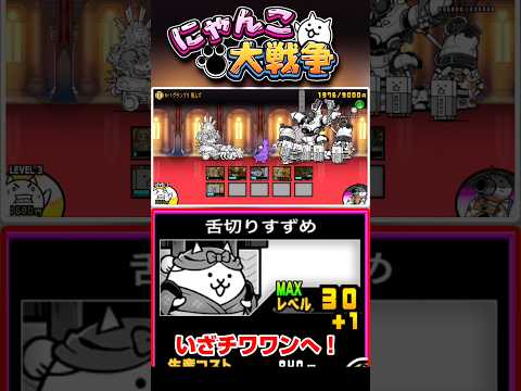 謎の編成でチワワン降臨へ #にゃんこ大戦争
