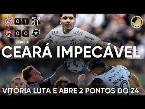 image para ilustrar o artigo